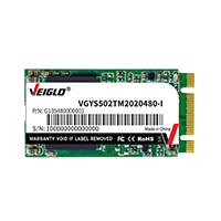 M.2 2242 SATA SSD