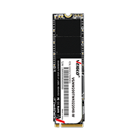 M.2 2280 PCIe NVMe SSD