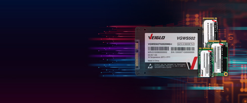 芯片级SSD,BGA SSD
